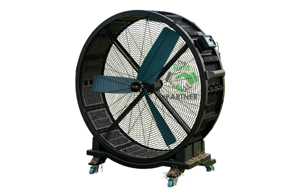 Catalog Image